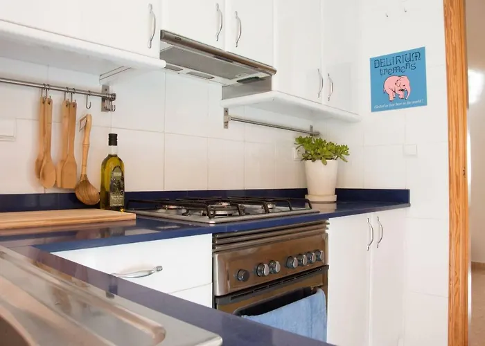 Lovely Penhouse In With Parking * 阿利坎特