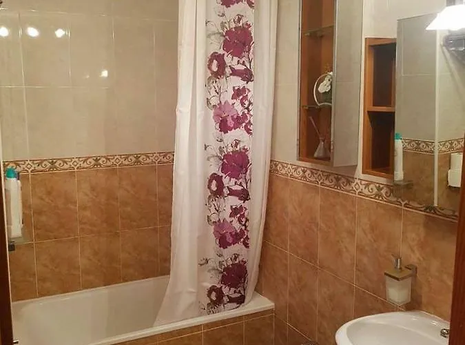 公寓 Lovely Penhouse In With Parking 阿利坎特