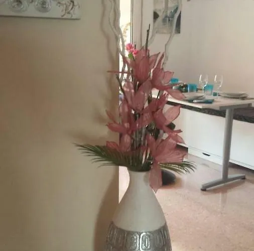 公寓 Lovely Penhouse In With Parking 阿利坎特